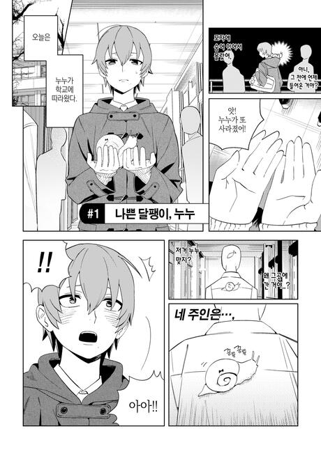 SAMPLE1